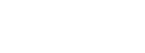 NDICEA Logo